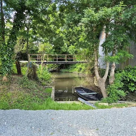 Des Oliviers Avec Barque Et Velo