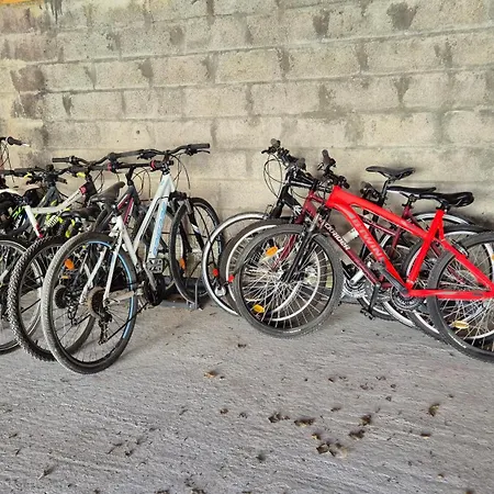 Des Oliviers Avec Barque Et Velo Feriehus Arçais